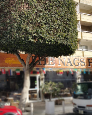 The Nags Heads Pub